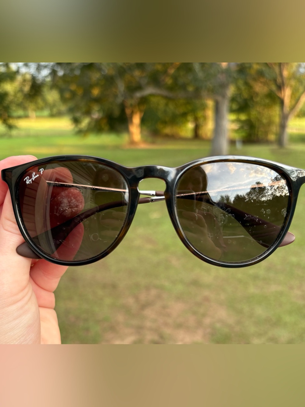 Authentic Erika Ray-Ban Sunglasses